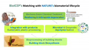 biocep's matching with nature's biomaterial lifestyle
