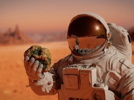 Evolution,On,Mars,,Astronaut,Discovers,Tiny,Martians,(3d,Science