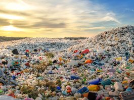 Waste,Polluting,Plastics,Bottles,And,Other,Types,Of,Plastic,Waste,At