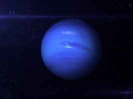 neptune's dark spot