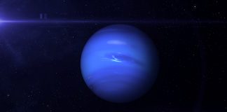 neptune's dark spot
