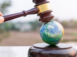 criminal law for environmental protection
