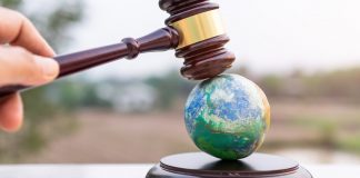 criminal law for environmental protection