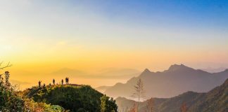 the alternative fuels & chemicals coalition propels advancements in a sustainable bioeconomy