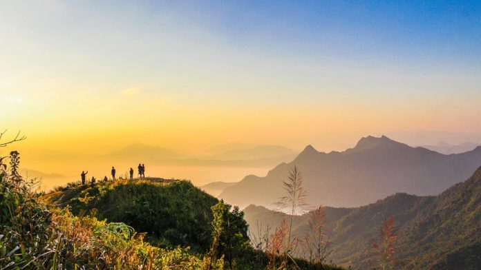 the alternative fuels & chemicals coalition propels advancements in a sustainable bioeconomy