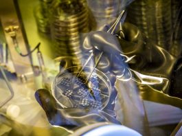 Organic solar cells in a so-called glove box in which they are exposed to artificial sunlight