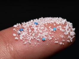 Small,Airborne,Microplastic,Pellets,On,The,Finger.micro,Plastic.,Air,Pollution