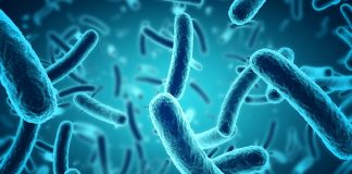 Close,Up,Of,3d,Microscopic,Blue,Bacterial,Infections