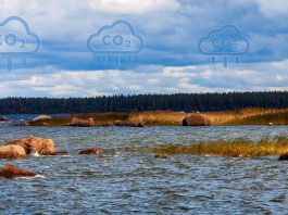 marine carbon capture removal