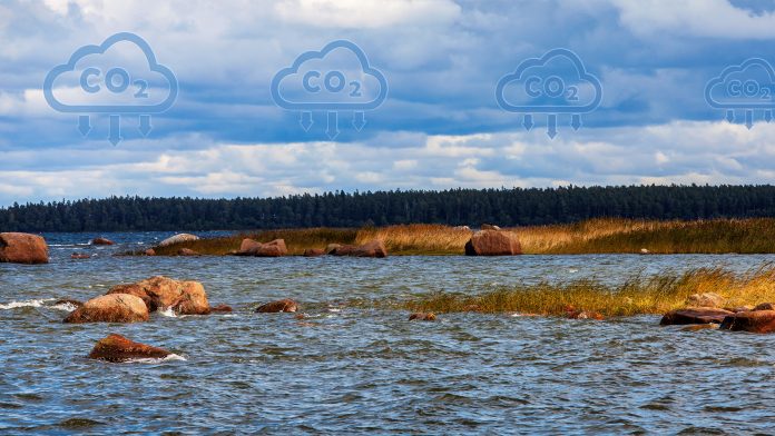 marine carbon capture removal
