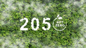 net zero, climate targets