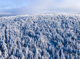 critical mineral exploration