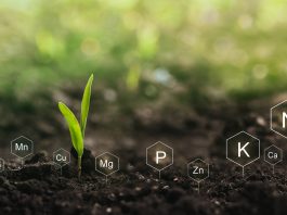 nitrogen fertiliser