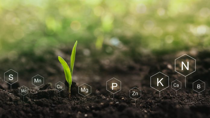 nitrogen fertiliser