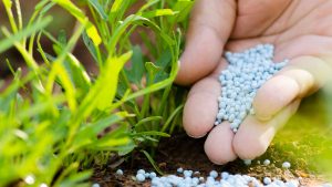 nitrogen fertiliser