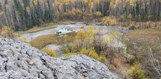 black shales, shales