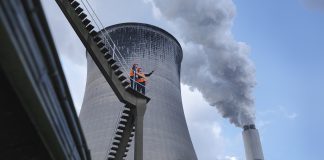 bioenergy production, BECCS