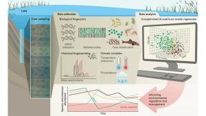 ai analysis, biodiversity time machine