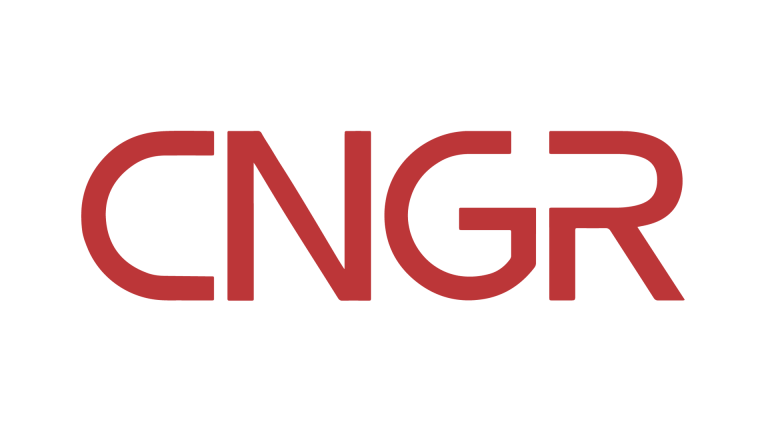 Deekay Kim | CNGR EUROPE New Energy Technology GmbH