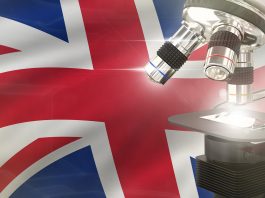 global investment summit