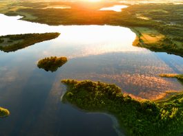 ai analysis, biodiversity time machine