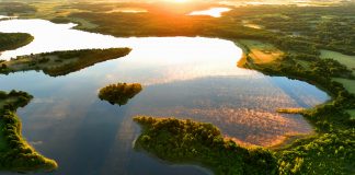 ai analysis, biodiversity time machine