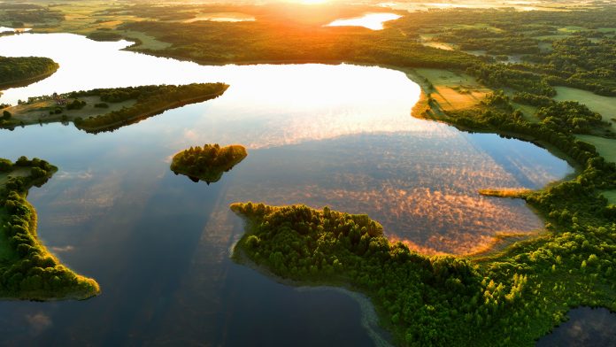 ai analysis, biodiversity time machine