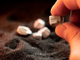 rare earth elements, coal mine