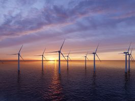 offshore wind sector