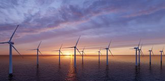 offshore wind sector