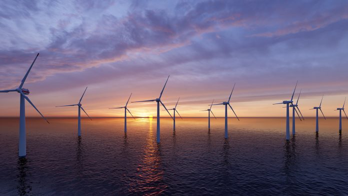 offshore wind sector