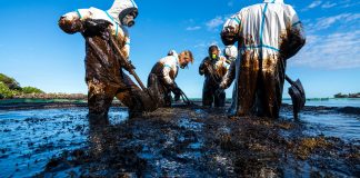 oil pollution