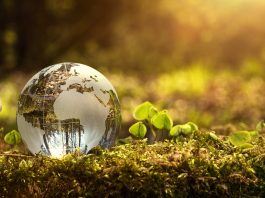 Queensland Pacific Metals Q3 report