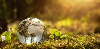 Queensland Pacific Metals Q3 report: A glimpse of a sustainable future Queensland Pacific Metals Q3 report