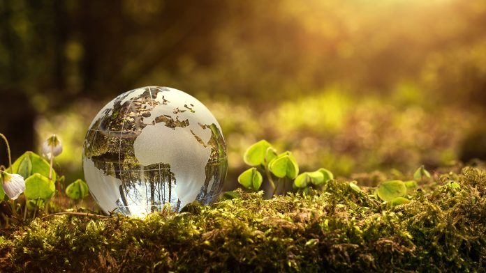 Queensland Pacific Metals Q3 report