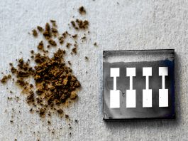 organic solar cells, lingin