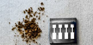 organic solar cells, lingin