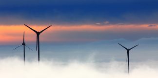 environmental accountability, energy genealogy