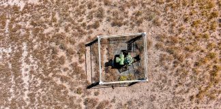 topaz helium project, appraisal drilling well, pulsar helium