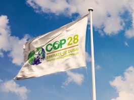 cop28 summit