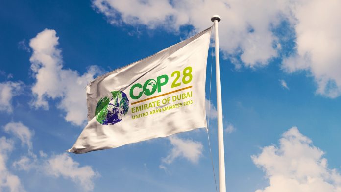 cop28 summit