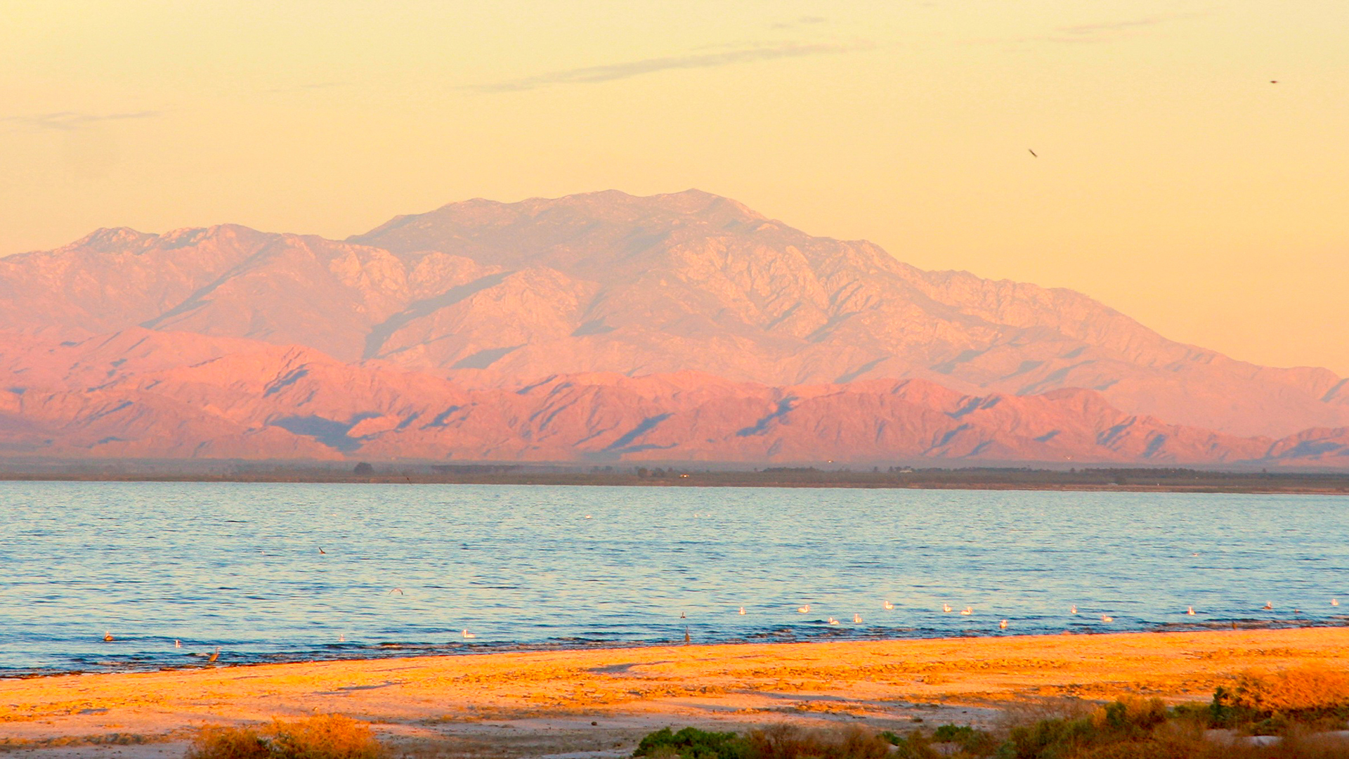 Lithium deposit identified in the Salton Sea