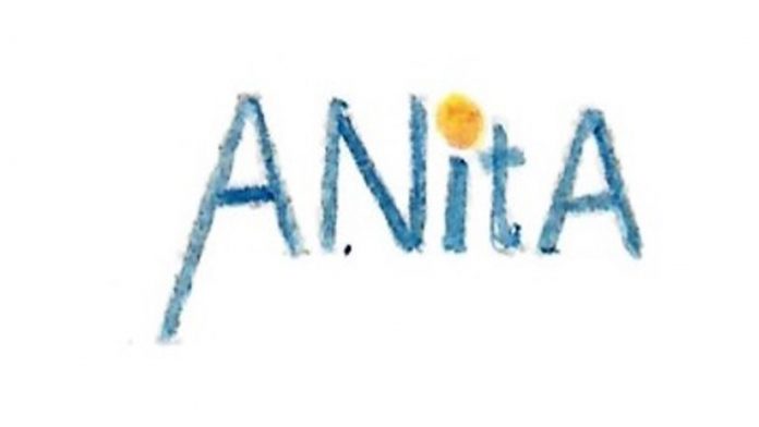 ANItA: Collaboration to implement small modular reactors in Sweden