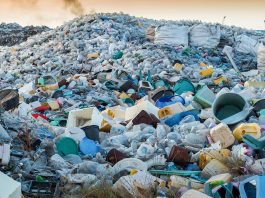 Greenpeace has launched The Big Plastic Count to tackle UK plastic waste