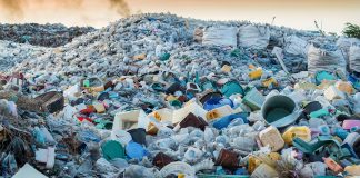 Greenpeace has launched The Big Plastic Count to tackle UK plastic waste