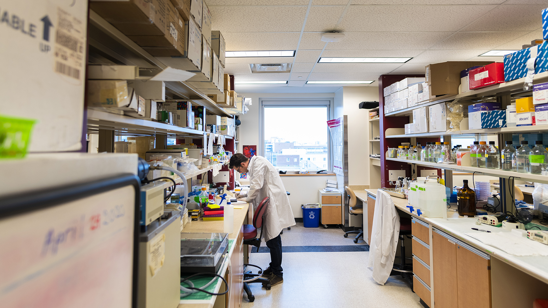 University of Alberta