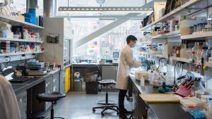 mcgill university, canada and europe