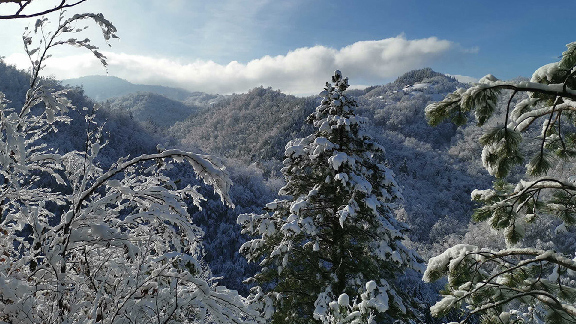 terra balancia, mineral exploration