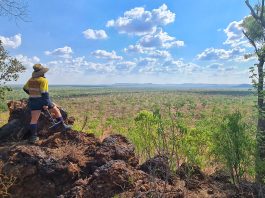 critical minerals, rare earths