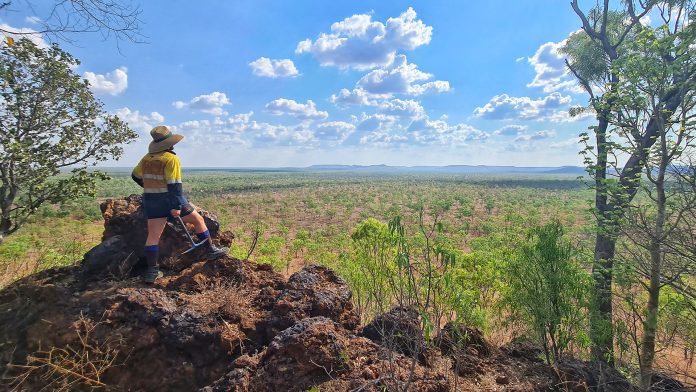 critical minerals, rare earths